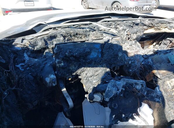SALGS2RU2LA568686 2020 LAND ROVER RANGE ROVER Белый Вид задних сидений