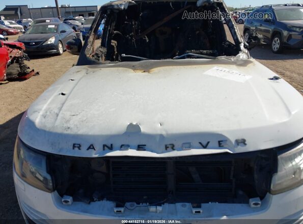 SALGS2RU2LA568686 2020 LAND ROVER RANGE ROVER Белый Вид сзади