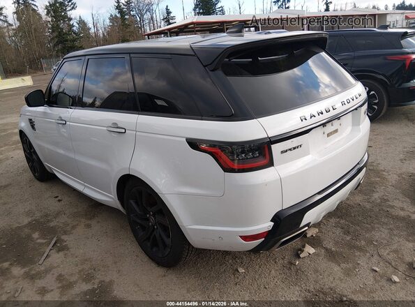 SALWV2SV7KA420540 2019 LAND ROVER RANGE ROVER SPORT White Tył lewy