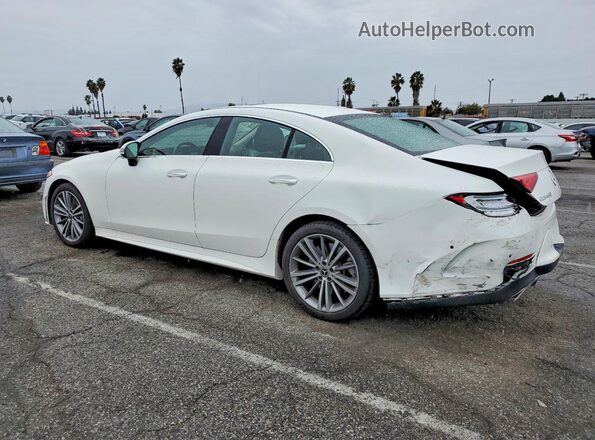 W1K2J5JB6LA055768 2020 MERCEDES-BENZ CLS-CLASS White Հետևի ձախ