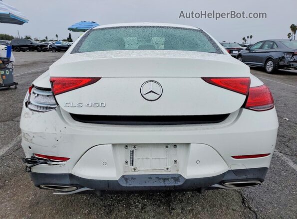 W1K2J5JB6LA055768 2020 MERCEDES-BENZ CLS-CLASS White Հետևի տեսք