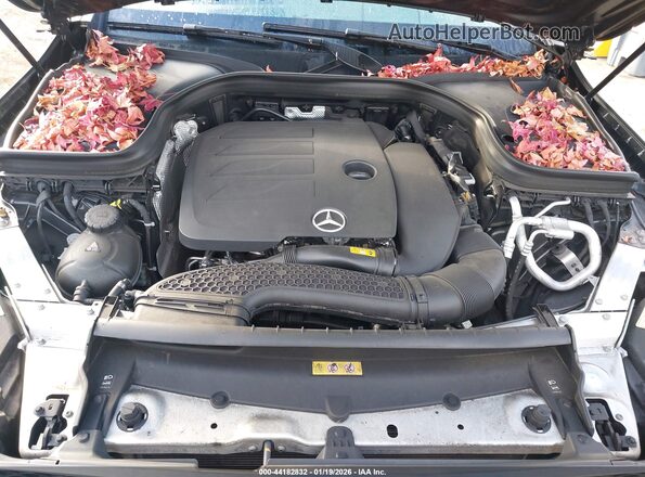 W1N0G8EB8MF893325 2021 MERCEDES-BENZ GLC 300 Gray Вид ззаду