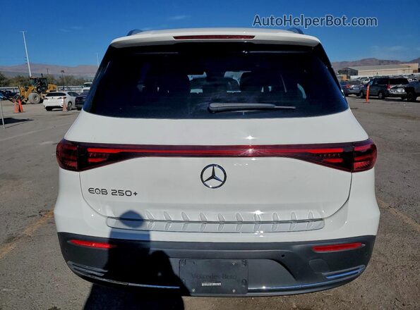 W1N9M0CB2RN086817 2024 MERCEDES-BENZ EQB Белый Вид сзади