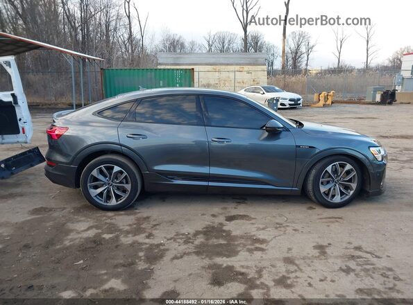 WA12AAGE4MB027901 2021 AUDI E-TRON Серый Вид задней части салона