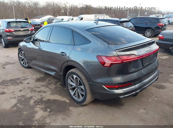 WA12AAGE4MB027901 2021 AUDI E-TRON Серый Задняя левая четверть