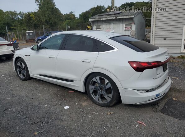 WA12ABGE5LB033520 2020 AUDI E-TRON White Задня ліва чверть