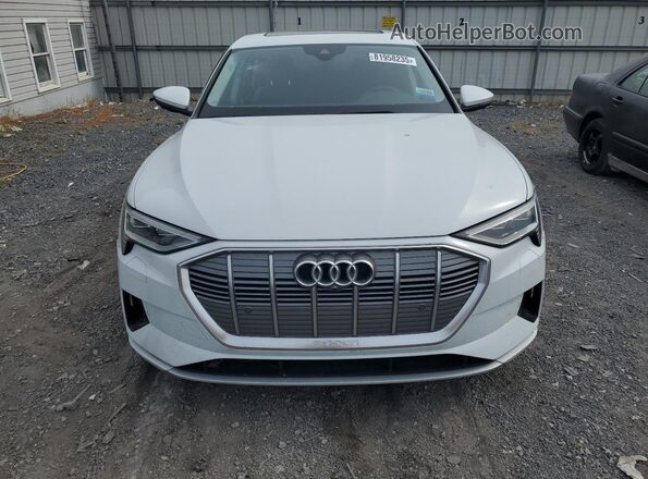 WA12ABGE5LB033520 2020 AUDI E-TRON White Вид спереду