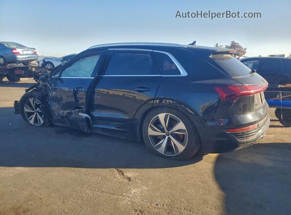 WA15AAGE2RB007554 2024 AUDI Q8 Black Trasero izquierdo