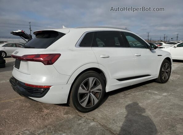 WA15AAGE4RB029068 2024 AUDI Q8 White Tył prawy