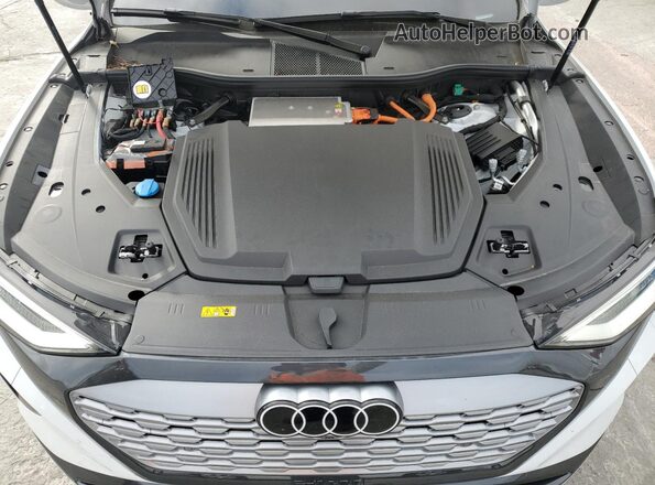 WA15AAGE4RB029068 2024 AUDI Q8 White Widok komory silnika