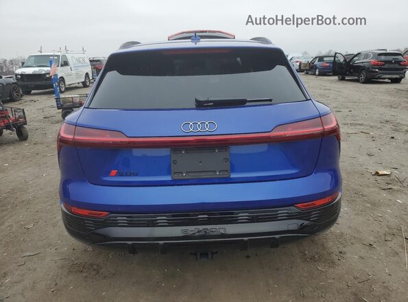 WA16CBGE0RB060922 2024 AUDI SQ8 Blue Widok z tyłu