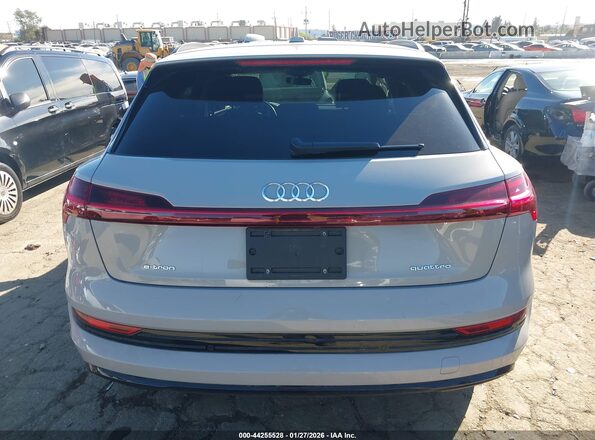 WA1AAAGE1MB018486 2021 AUDI E-TRON Gray 