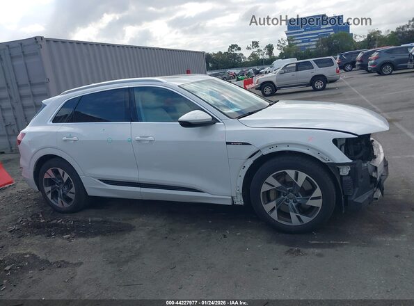 WA1AAAGE8MB000728 2021 AUDI E-TRON White 