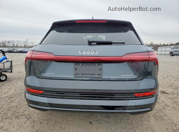 WA1AAAGEXNB010419 2022 AUDI E-TRON Серый Вид сзади