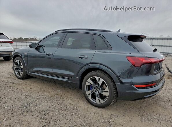 WA1AAAGEXNB010419 2022 AUDI E-TRON Серый Задняя левая четверть