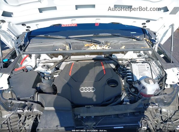 WA1B4AFY2R2042715 2024 AUDI SQ5 White Rear view
