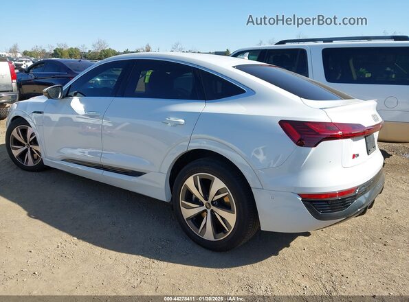 WA1CAAGE6RB024946 2024 AUDI Q8 E-TRON White უკანა მარცხენა