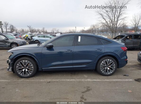 WA1CAAGE7RB039374 2024 AUDI Q8 E-TRON Blue Панорамний вид салону 360°