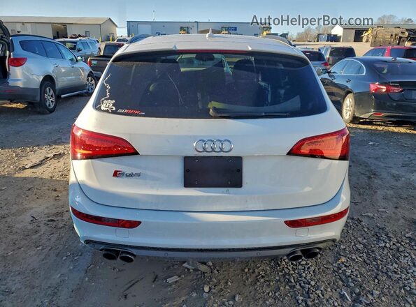 WA1CCAFP0GA120779 2016 AUDI SQ5 White Հետևի տեսք