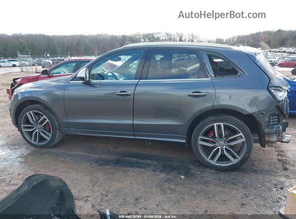 WA1CCAFP3HA005188 2017 AUDI SQ5 Бежевый 
