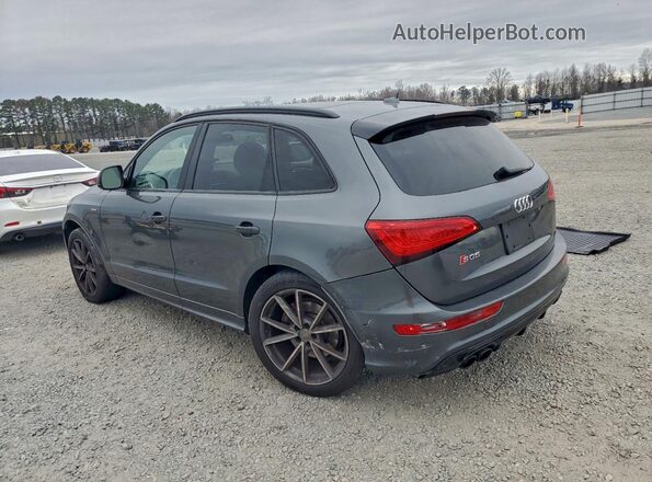WA1CCAFP3HA045979 2017 AUDI SQ5 Gray უკანა მარცხენა
