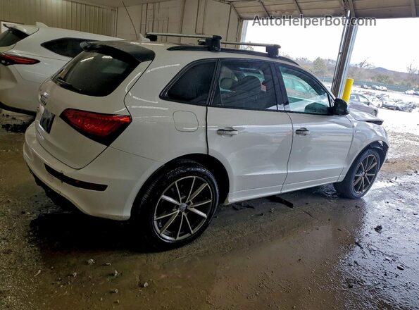 WA1CCAFP4HA036398 2017 AUDI SQ5 Белый Задняя правая четверть