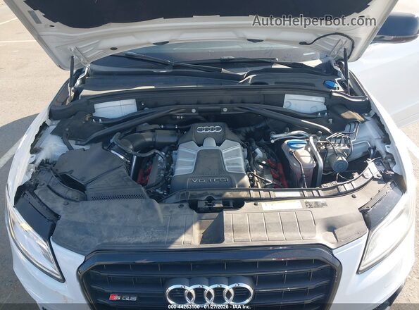WA1CCAFP7HA082632 2017 AUDI SQ5 Белый Вид сзади