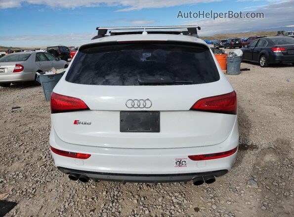 WA1CCAFP8GA056569 2016 AUDI SQ5 Белый Вид сзади