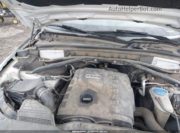 WA1L2AFP1GA015137 2016 AUDI Q5 White Հետևի տեսք