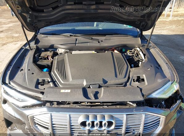 WA1LABGE0MB010040 2021 AUDI E-TRON Gray Widok z tyłu