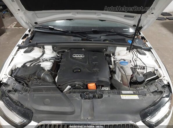 WA1UFAFL0GA014583 2016 AUDI ALLROAD White Widok z tyłu