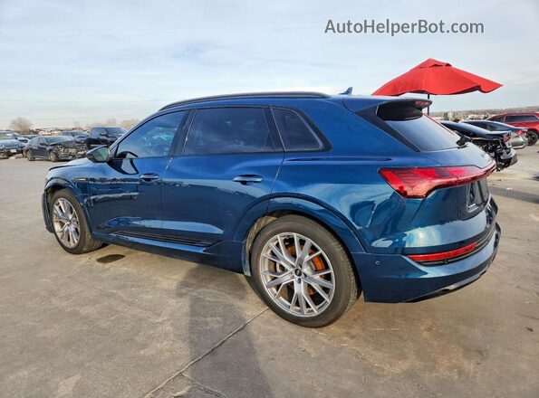 WA1VAAGE3MB018118 2021 AUDI E-TRON Blue Trasero izquierdo