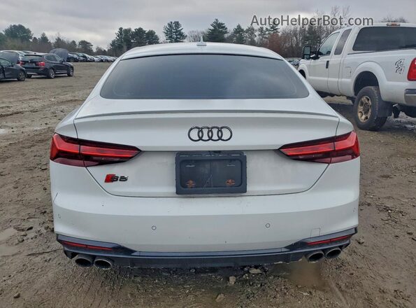 WAUB4CF54LA001598 2020 AUDI S5 White Widok z tyłu