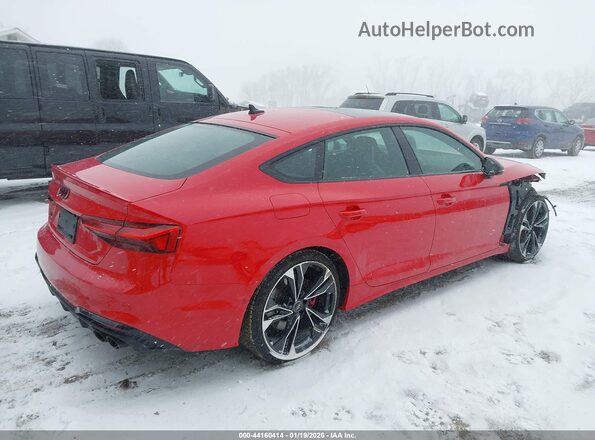 WAUB4CF56PA014553 2023 AUDI S5 Red Задня права чверть