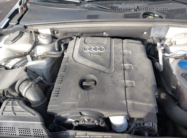 WAUBFAFL1GN018936 2016 AUDI OTHER Белый Вид сзади