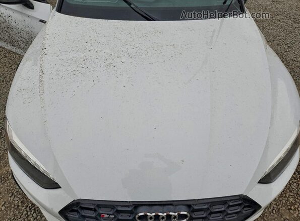 WAUC4CF54LA012542 2020 AUDI S5 Белый Вид задней части салона