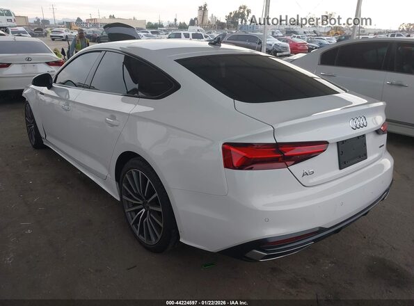 WAUCBCF5XPA034217 2023 AUDI OTHER White უკანა მარცხენა