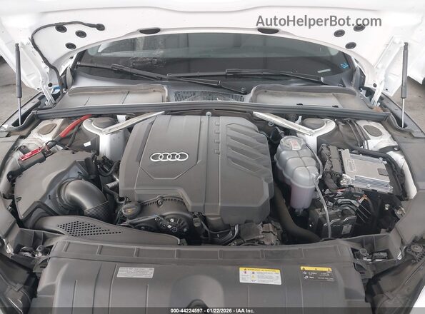 WAUCBCF5XPA034217 2023 AUDI OTHER White უკანა ხედი
