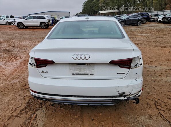 WAUDNAF43KN016876 2019 AUDI OTHER White Rear view