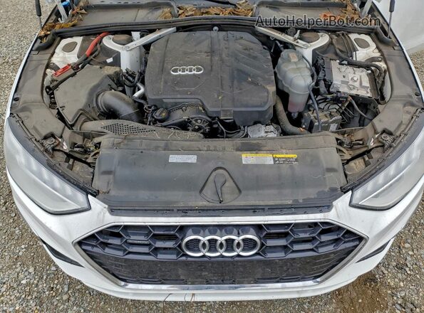 WAUEAAF4XPN003176 2023 AUDI OTHER Белый Вид задней части салона