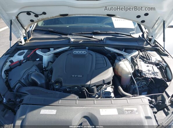 WAUENAF41LN009267 2020 AUDI OTHER White Widok z tyłu