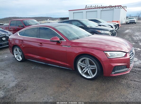 WAUENCF50JA010225 2018 AUDI OTHER Red Սալոնի հետևի տեսք