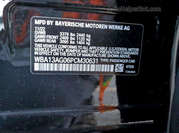 WBA13AG06PCM30631 2023 BMW 5 SERIES Black Vista de la etiqueta del VIN