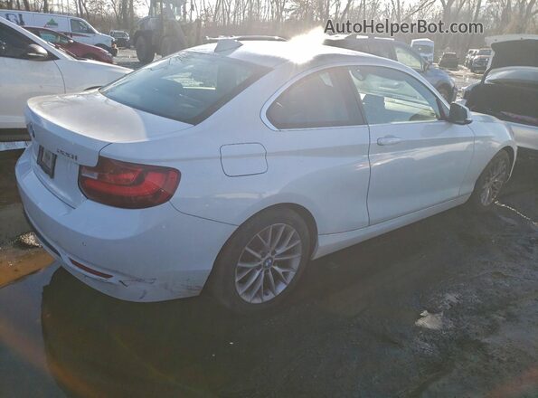 WBA1F9C54GV546664 2016 BMW 2 SERIES White უკანა მარჯვენა