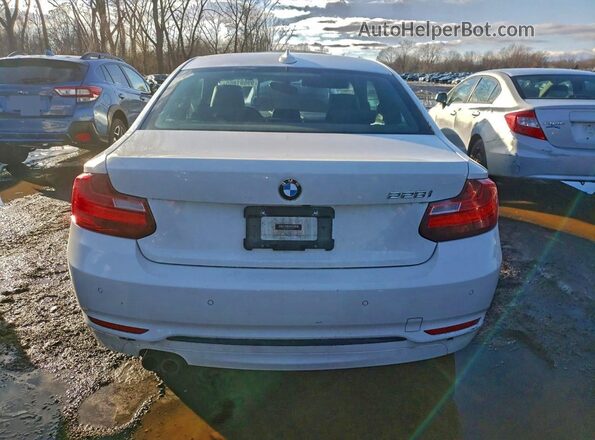 WBA1F9C54GV546664 2016 BMW 2 SERIES White უკანა ხედი