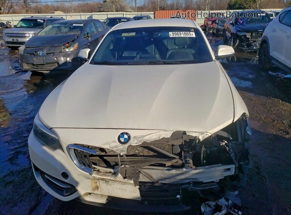 WBA1F9C54GV546664 2016 BMW 2 SERIES White წინა ხედი
