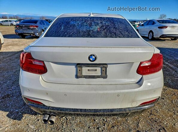 WBA1G9C54GV727129 2016 BMW 2 SERIES White უკანა ხედი