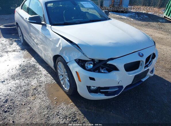WBA1G9C5XGV598331 2016 BMW 2 SERIES White Front view