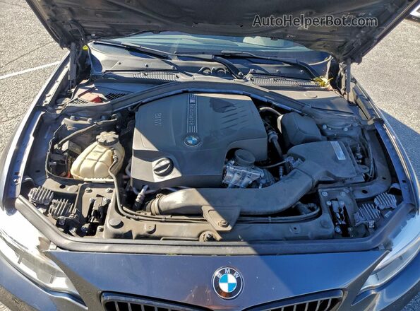 WBA1J7C52GV290060 2016 BMW M2 Серый Вид задней части салона