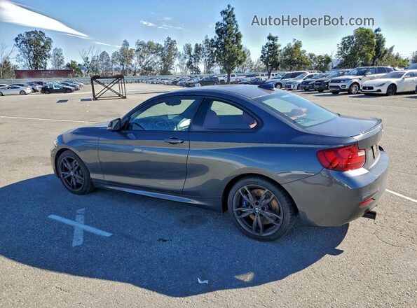 WBA1J7C52GV290060 2016 BMW M2 Серый Задняя левая четверть